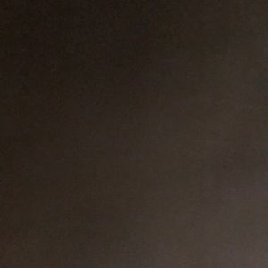 Meet your Posher, Savannah